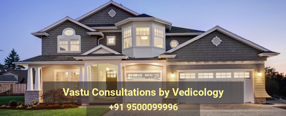 Vastu Consultation By Vedicology